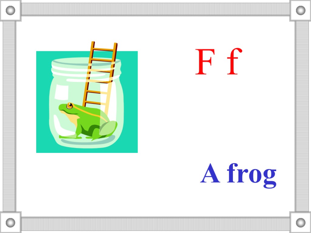 A frog F f